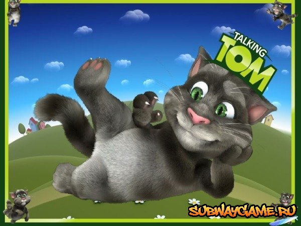 Talking Tom cat 3  