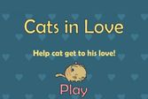 Помогите влюбленному коту встретиться с любимой