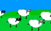 Маленькие овечки