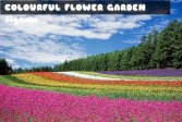 Красочный Цветочный Сад Пазл Colourful Flower Garden Jigsaw
