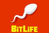 BitLife - Симулятор Жизни BitLife - Life Simulator