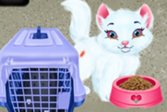 Baby Taylor Pet Care - спасите милых животных Baby Taylor Pet Care - Save Cute Animals