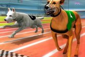 Собаки3D Гонки Dogs3D Races