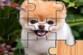 Милые Собаки Пазл Cute Dogs Jigsaw Puzlle