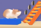 Лабиринт для хомяков Hamster Stack Maze