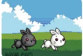 Бу Кролик Два кролика Bu Bunny Two Rabbit