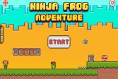 Приключения лягушки ниндзя Ninja Frog Adventure