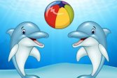 Шоу дельфинов Dolphin Show