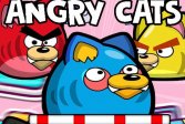   Angry Cats