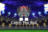   Catch The Ball