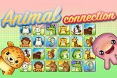    Animal Connection