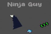 Парень-ниндзя Ninja Guy