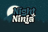 Ночной ниндзя Night Ninja