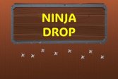   Ninja Drop