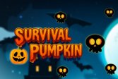    Survival Pumpkin