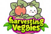    Harvesting Veggies