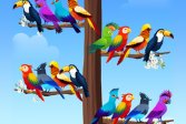     Bird Sort Puzzles