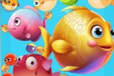   Fish Merge